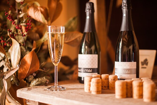 High-End Vineyard Escape: Cava, Tapas & Wine | Private Tour - Price and value for a private $598.87 day