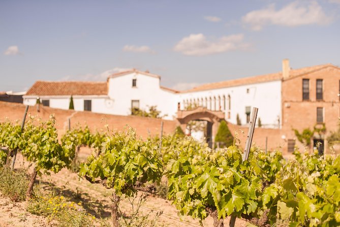 High-End Vineyard Escape: Cava, Tapas & Wine | Private Tour - Practical tips so your day feels smooth