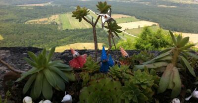 Istria: Guided Tour of Inner Istria with Food Tasting - Pickup and Getting Comfortable Without Stress