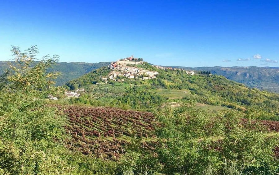 Istria: Guided Tour of Inner Istria with Food Tasting - Grožnjan’s Artist Streets: A Hilltop Walk You Can Enjoy at Your Own Speed