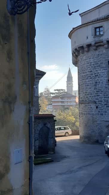 Istria: Guided Tour of Inner Istria with Food Tasting - Price and Value: Is $108 Fair for 8 Hours?