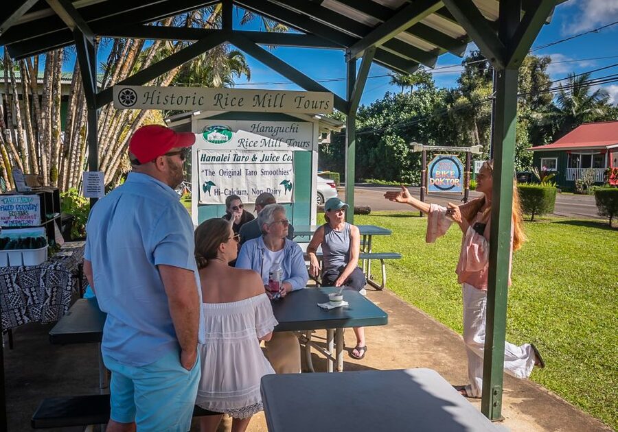 Kauai: Local Tastes Small Group Food Tour - East Side (Thu): Royal Coconut Coast farm-to-table stops and 6 tastings