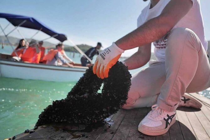 Ksamil: Mussel Sailing Tour with Food and Drink in Albania - The Boat Ride Experience: What the Small Group Changes