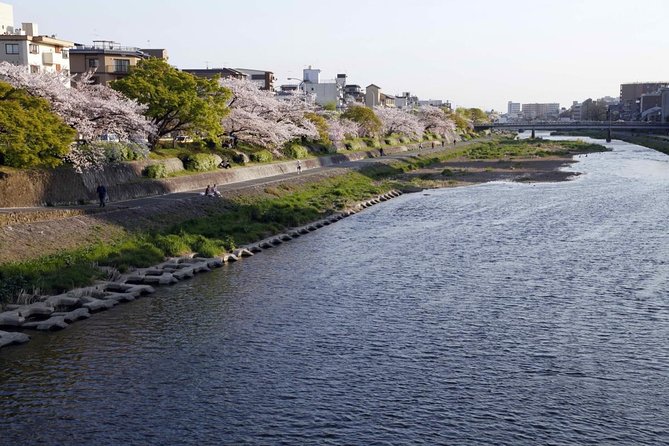 Kyoto Night Foodie Tour in Gion (9+ dishes + 6 Sake tastings) - The 3.5-hour walking rhythm and where the tour starts
