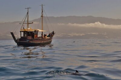 La Palma: 4-Hour Coastline Cruise with Tapas and Barbecue - The Swim Stop: Snorkel Gear, a Private Spot, and Float Time