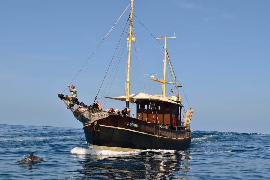 La Palma: 4-Hour Coastline Cruise with Tapas and Barbecue - Small-Group Cruise Value: Why 12 People Changes Everything