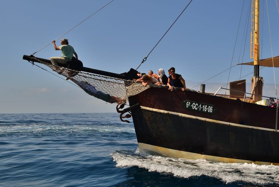 La Palma: 4-Hour Coastline Cruise with Tapas and Barbecue - Price and Value: What $88 Gets You in 4 Hours