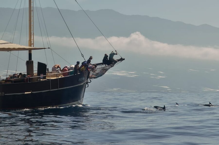 La Palma: 4-Hour Coastline Cruise with Tapas and Barbecue - A Quick Checklist Before You Go