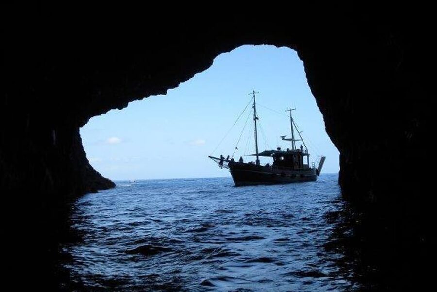 La Palma: 4-Hour Coastline Cruise with Tapas and Barbecue - Should You Book This La Palma Coastline Cruise?
