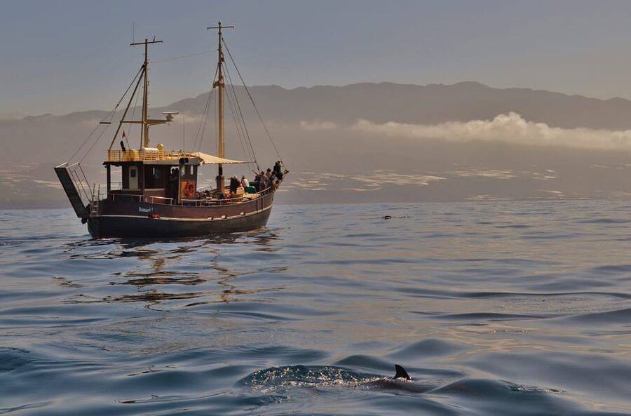 La Palma: 4-Hour Coastline Cruise with Tapas and Barbecue - The Swim Stop: Snorkel Gear, a Private Spot, and Float Time