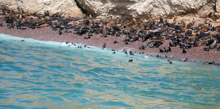 Lagos/Praia da Luz: Wine Tour, Tastings, Tapas, and Music - Price and value: what $68 includes (and what you’re paying for)