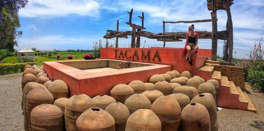 Lagos/Praia da Luz: Wine Tour, Tastings, Tapas, and Music - Who this tour fits best (and who should choose something else)