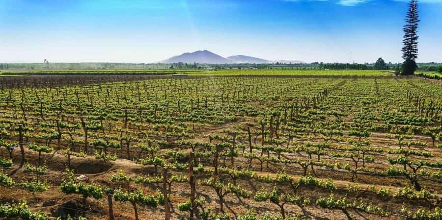 Lagos/Praia da Luz: Wine Tour, Tastings, Tapas, and Music - Booking advice: choose your transport option like a local