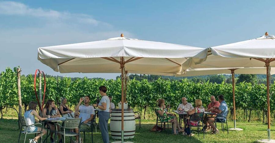 Lake Garda: Wine and Food Tastings in the Vineyards - Meeting at Azienda Agricola Le Ginestre in Lazise