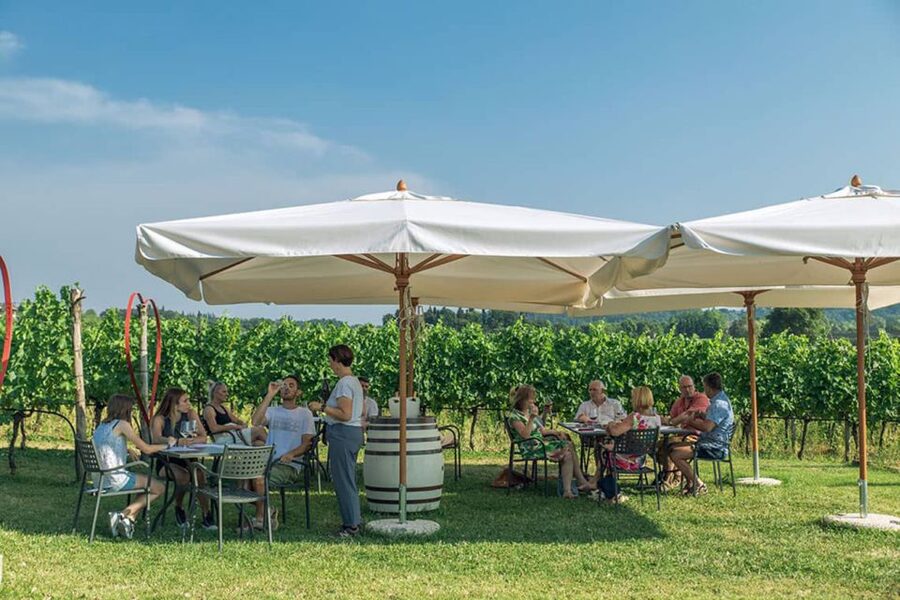 Lake Garda: Wine and Food Tastings in the Vineyards - Six Wines in Plain English: Garganega, Chiaretto, Sparkling, and Reds