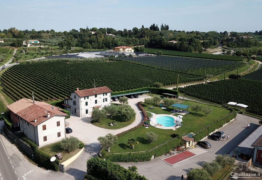 Lake Garda: Wine and Food Tastings in the Vineyards - Who This Works Best For (And Who Should Rethink It)