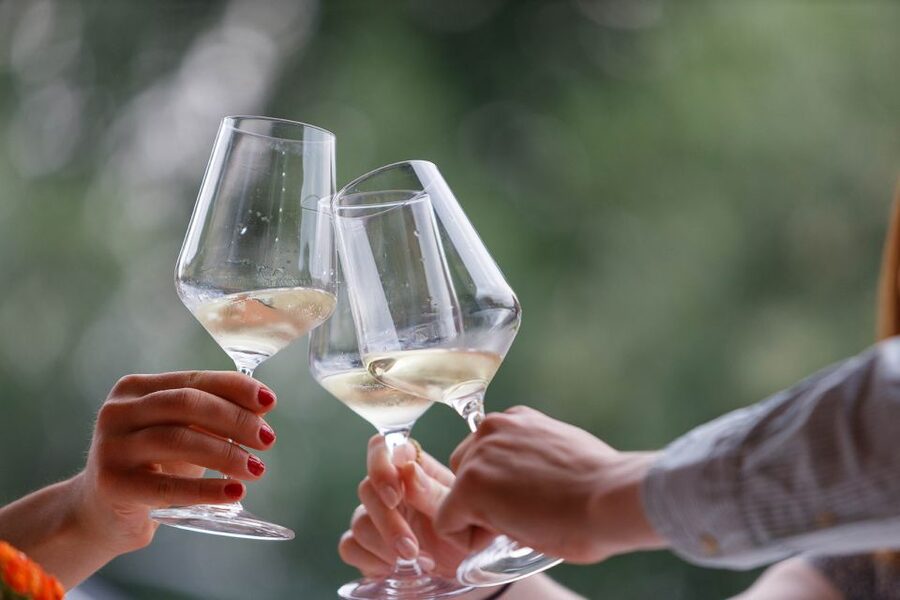 Lazise: Winery Tour with Garda Wines and Food Tasting - Key things to know before you go
