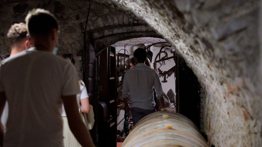 Lazise: Winery Tour with Garda Wines and Food Tasting - Should you book the Lazise Garda Wines tour?