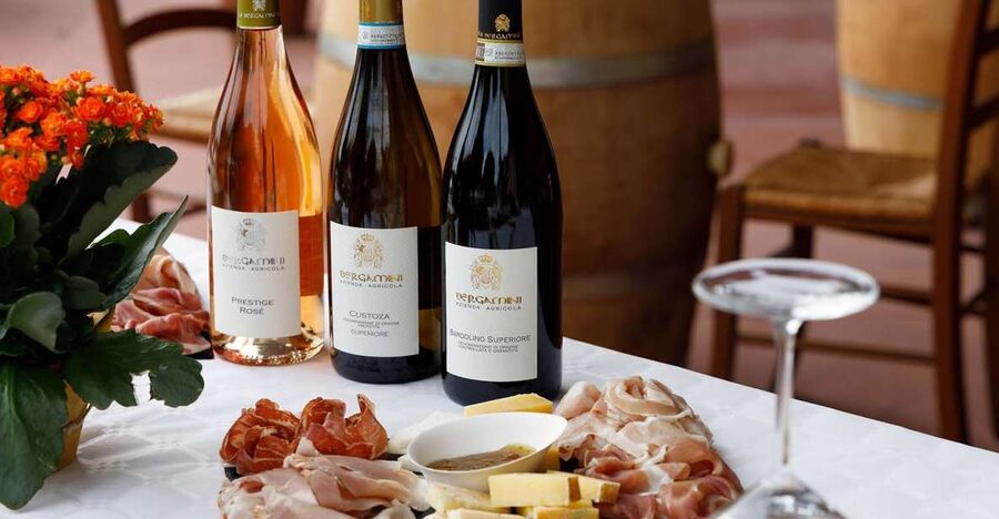 Lazise: Winery Tour with Garda Wines and Food Tasting - Cellar tour: fermentation and aging where the patience lives