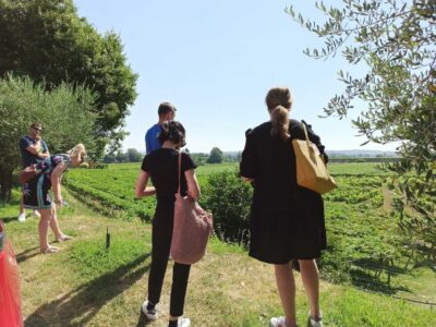 Lazise: Winery Tour with Garda Wines and Food Tasting - Vineyard walk: grape variety lessons you can actually see