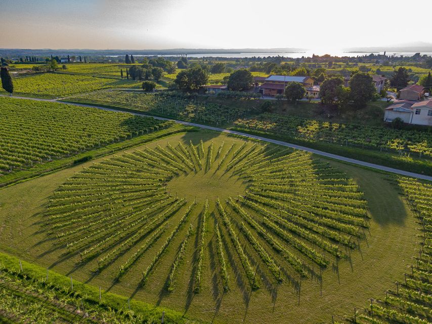 Lazise: Winery Tour with Garda Wines and Food Tasting - Guides who connect: Paula, Nevio, and the owner-winemaker welcome