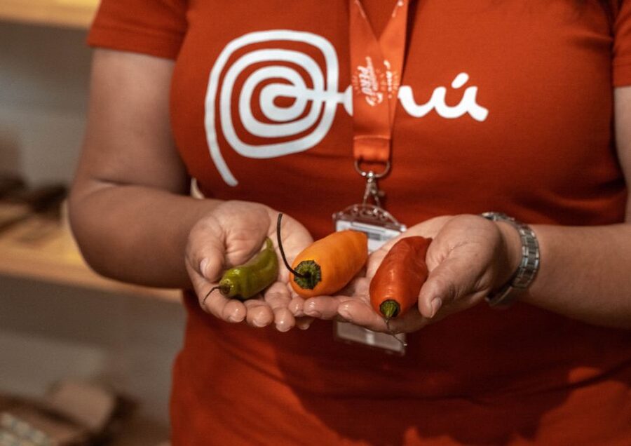 Lima: Ultimate Peruvian Food Tour - Chocolate workshop: fair trade sweets with a real-world angle