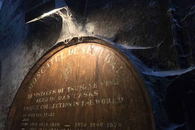 Lisbon Getaway: Private Arrábida Wine & Food Tour - Bacalhôa Vinhos de Portugal: A Bigger Experience With a Different Focus