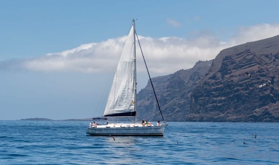 Los Gigantes: Sailing Excursion with Swimming, Drink & Tapas - Los Gigantes from the water: what this 3-hour sail really feels like