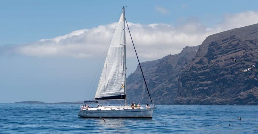 Los Gigantes: Sailing Excursion with Swimming, Drink & Tapas - Sailing between bays and coves under the red cliffs