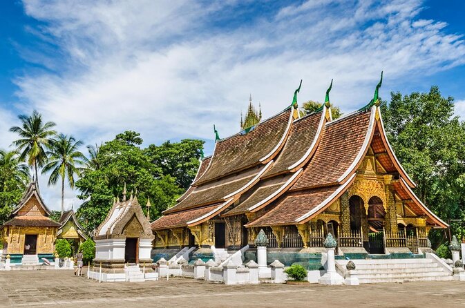 Luang Prabang Evening Food Tour by Tuk-Tuk - Key highlights you can count on