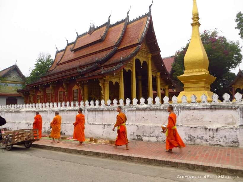 Luang Prabang: Foodie Walking Tour & Monk Blessing - The food stops: how you actually learn Lao flavor