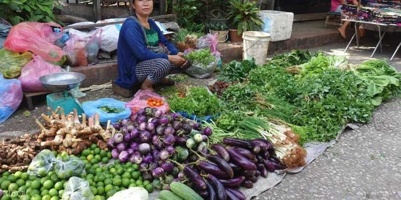 Luang Prabang: Foodie Walking Tour & Monk Blessing - Temple etiquette you’ll want to get right (so you feel comfortable)