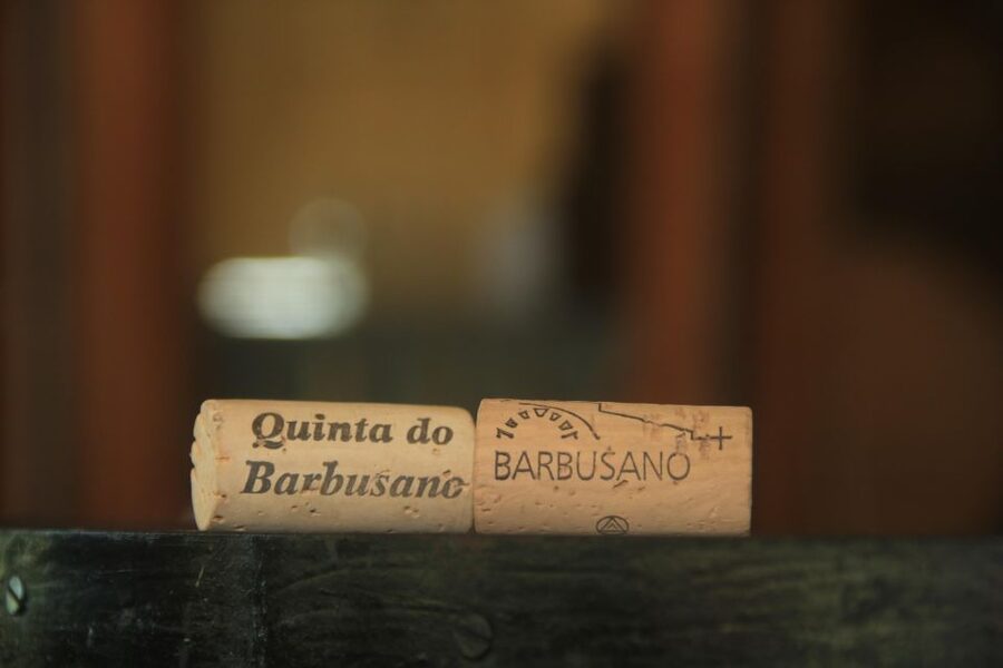 Madeira: Wine & Tapas, Cabo Girão Skywalk 4x4 Jeep Adventure - Money reality check: what you pay versus what you pay later
