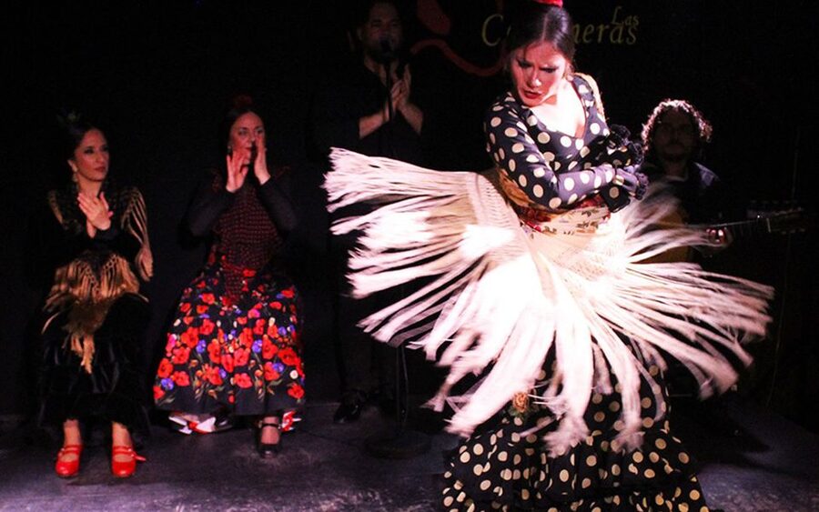 Madrid: Flamenco Show with Tapas and Wine Tour - Quick take: what makes this tapas + flamenco combo tick