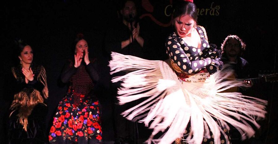 Madrid: Flamenco Show with Tapas and Wine Tour - The Tablao Flamenco finish: watching up close for an hour