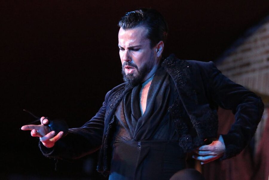 Madrid: Los Porches Flamenco Show with Tapas and Wine Ticket - Tapas and Wine: Great Idea, But Check Your Expectations