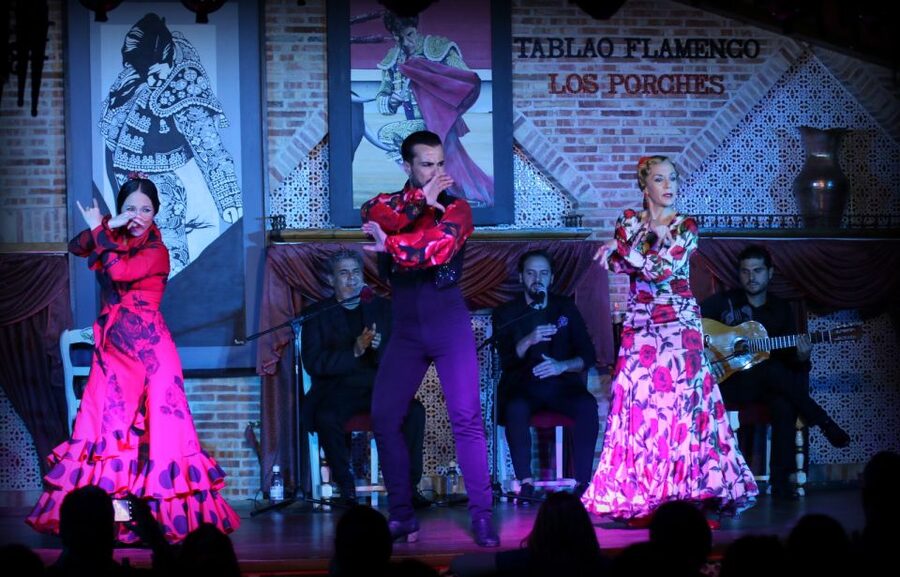Madrid: Los Porches Flamenco Show with Tapas and Wine Ticket - How Much Is $53 Worth for This Flamenco Night?