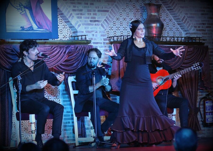 Madrid: Los Porches Flamenco Show with Tapas and Wine Ticket - Who Should Book This Flamenco Ticket (and Who Might Pass)