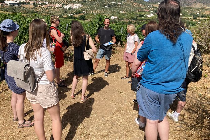 Malaga Organic Vineyard and Winery Six Wines Tapas and Transfer - Getting Out Of Malaga: Plaza de la Marina Pickup and the Countryside Ride