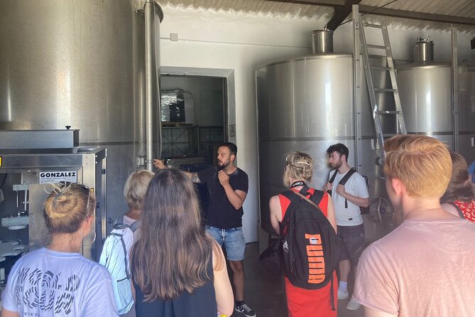 Malaga Organic Vineyard and Winery Six Wines Tapas and Transfer - Stop 3: BODEGA MALVAJIO Garage Winery Tastings and the Tapas Pairings