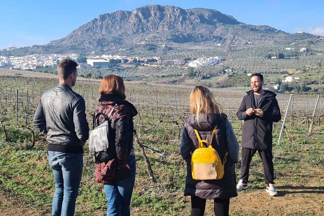 Malaga Organic Vineyard and Winery Six Wines Tapas and Transfer - The Timing: What 4 to 5 Hours Feels Like in Real Life