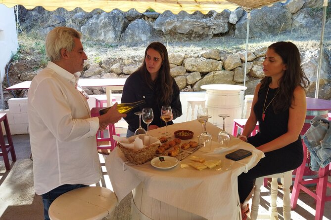 Malaga Organic Vineyard and Winery Six Wines Tapas and Transfer - Who This Tour Fits Best (And Who Might Prefer Something Else)