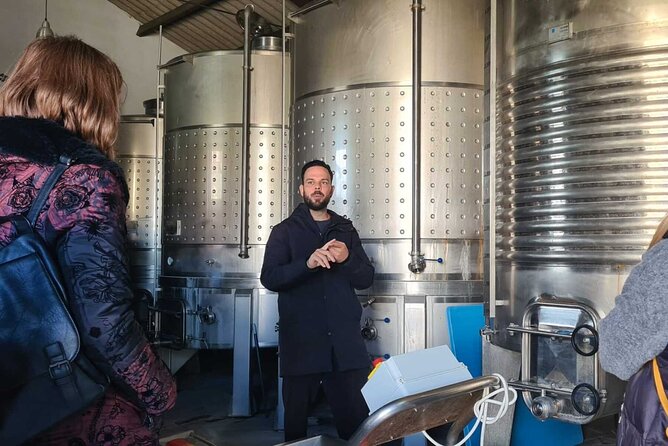 Malaga Organic Vineyard and Winery Six Wines Tapas and Transfer - Price and Value: Is $114.93 a Fair Deal in Malaga?