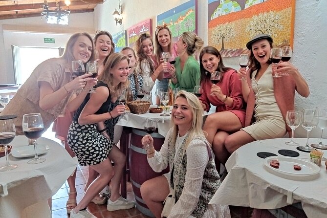 Malaga Organic Vineyard and Winery Six Wines Tapas and Transfer - Practical Tips So You Get the Most From the Day