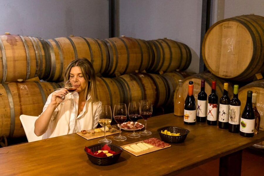 Malaga: Organic Vineyard Tour with 6 Wines, Tapas & Transfer - Key highlights worth planning for