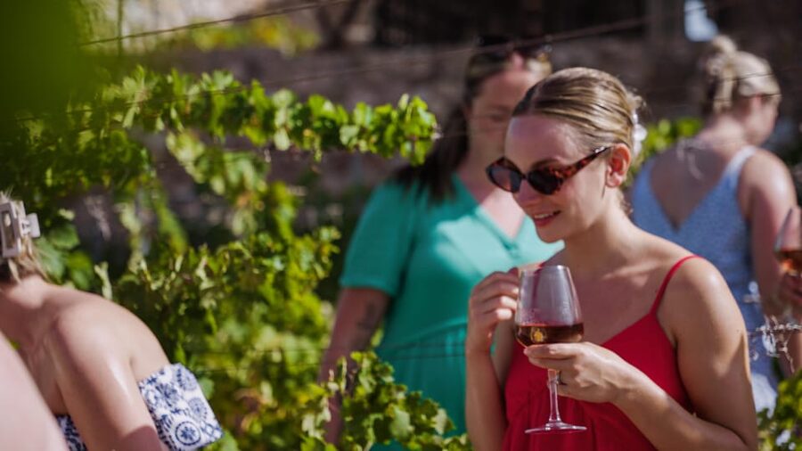 Malaga: Organic Vineyard Tour with 6 Wines, Tapas & Transfer - From Plaza de la Marina to the quiet hills