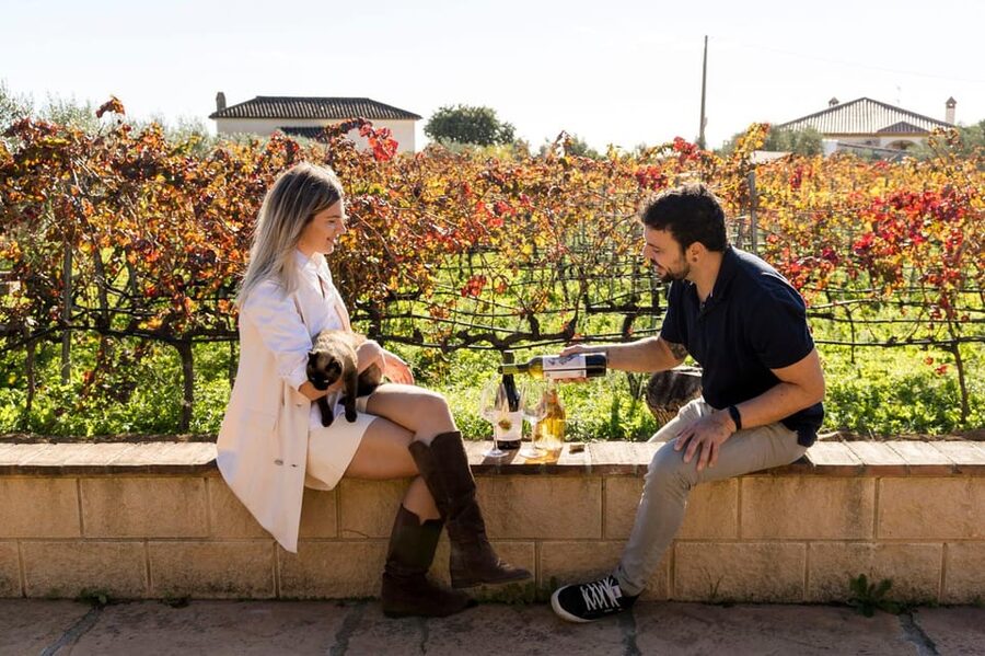 Malaga: Organic Vineyard Tour with 6 Wines, Tapas & Transfer - Inside the “garage winery” where rare wines are made
