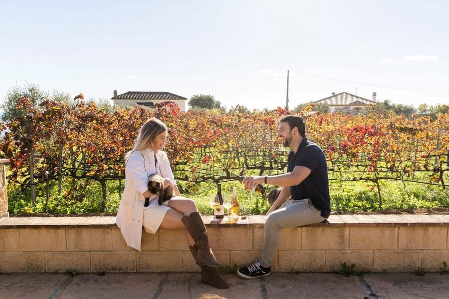 Malaga: Organic Vineyard Tour with 6 Wines, Tapas & Transfer - Tapas pairing: not just snacks, but wine-food matching