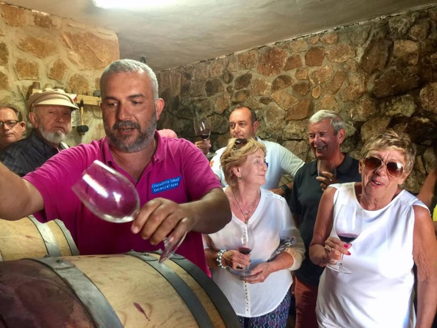 Malaga: Organic Vineyard Tour with 6 Wines, Tapas & Transfer - What you’re actually buying for $112