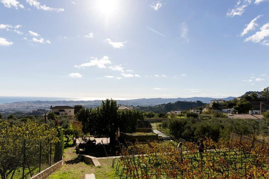 Malaga: Organic Vineyard Tour with 6 Wines, Tapas & Transfer - Timing, duration, and how to get the most out of the day
